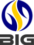 BIG Logo